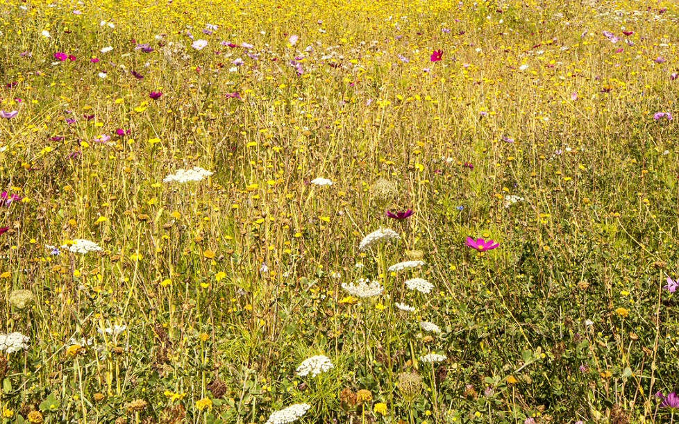 Buy or sell land or farmland with our specialist land agents